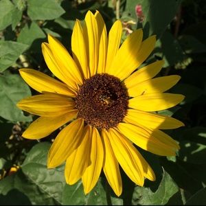 Meet your Posher, Alexia